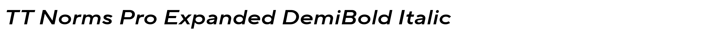 TT Norms Pro Expanded DemiBold Italic
